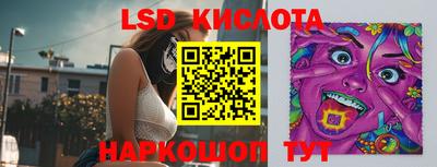 гидра Будённовск