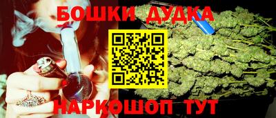 гидра Будённовск