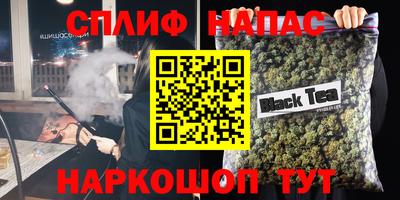 гидра Будённовск