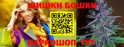гидра Будённовск