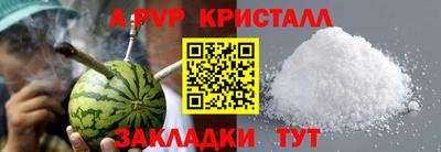 гидра Будённовск